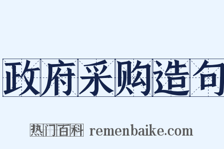 政府采购造句是什么意思的图片